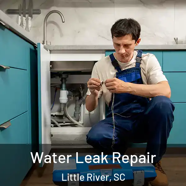  Water Leak Repair Little River, SC